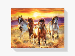 Diamond Painting Wunderschöne Pferde auf einem Feld - SEOS Shop ®