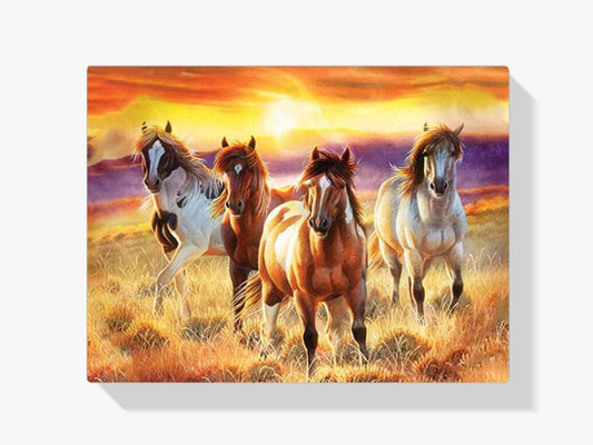 Diamond Painting Wunderschöne Pferde auf einem Feld - SEOS Shop ®
