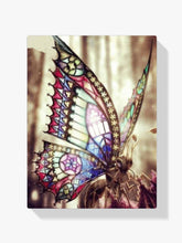 Diamantmalerei Schöner Schmetterling in der Sonne - SEOS Shop ®