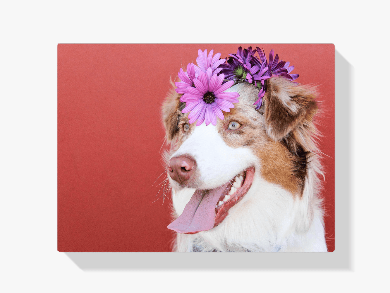 Diamond Painting Welpe mit Blume auf dem Kopf - SEOS Shop ®