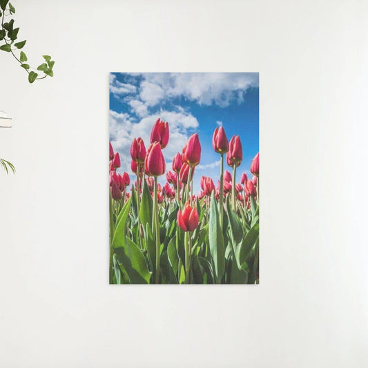 Diamond Painting Rote Tulpen - SEOS SHOP