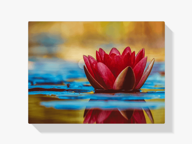Diamantmalerei Rote Seerose - SEOS Shop ®