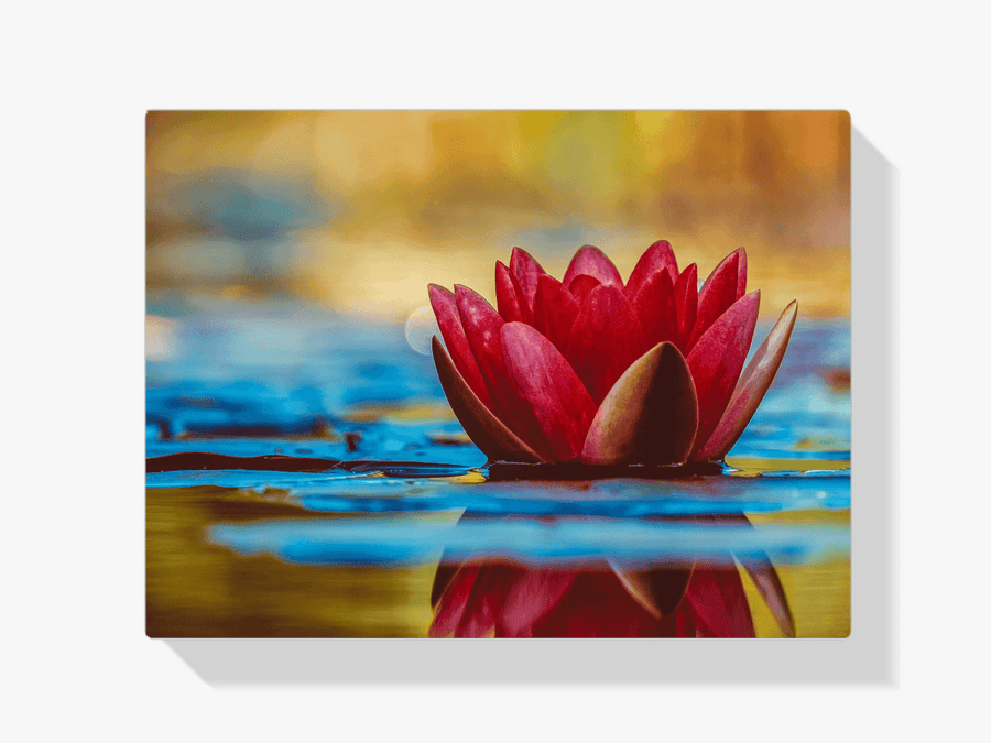 Diamantmalerei Rote Seerose - SEOS Shop ®