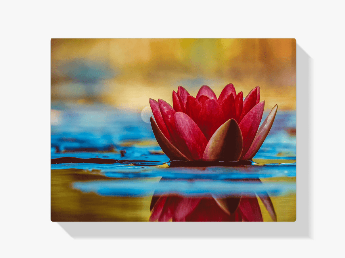 Diamantmalerei Rote Seerose - SEOS Shop ®