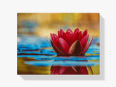 Diamantmalerei Rote Seerose - SEOS Shop ®