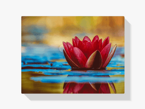 Diamantmalerei Rote Seerose - SEOS Shop ®