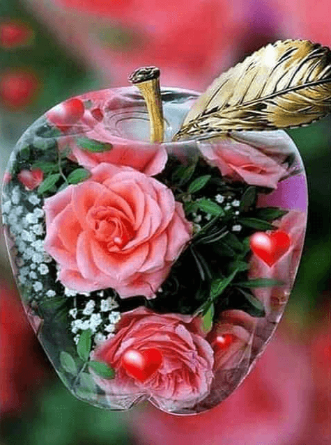 Diamond Painting Rose im Apfel - SEOS Shop ®