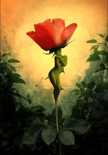 Diamantmalerei Rose's Soul - SEOS Shop ®