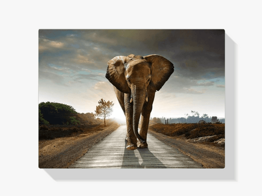 Diamond Painting Safari Elefant - SEOS Shop ®