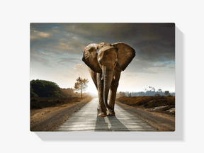 Diamantmalerei Safari Elefant - SEOS Shop ®