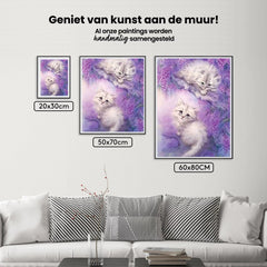 Diamantmalerei Süße Katzen - SEOS Shop ®