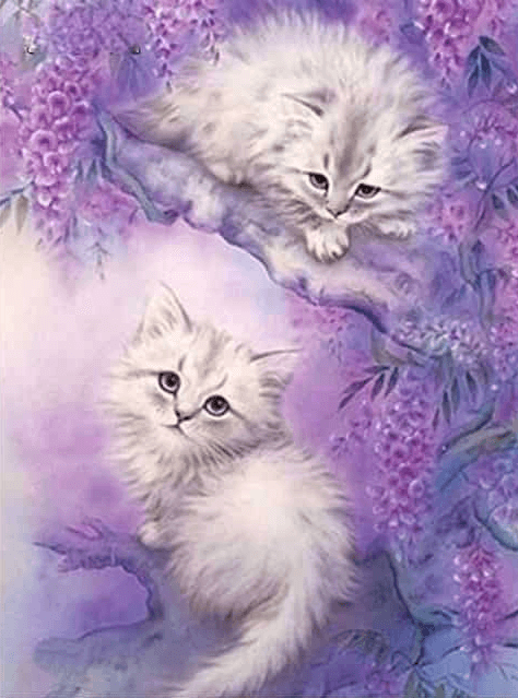 Diamantmalerei Süße Katzen - SEOS Shop ®