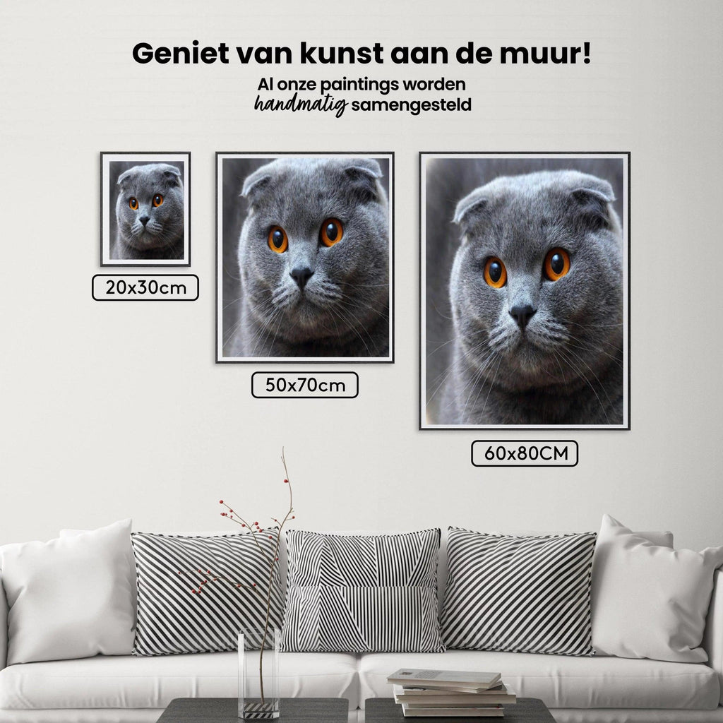 Diamantmalerei „Süßes Kätzchen“ - SEOS Shop ®