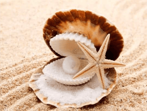 Diamantmalerei Muscheln und Perlen – SEOS Shop ®
