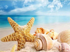 Diamond Painting Muscheln am Strand – 40x50 cm – SEOS Shop ®
