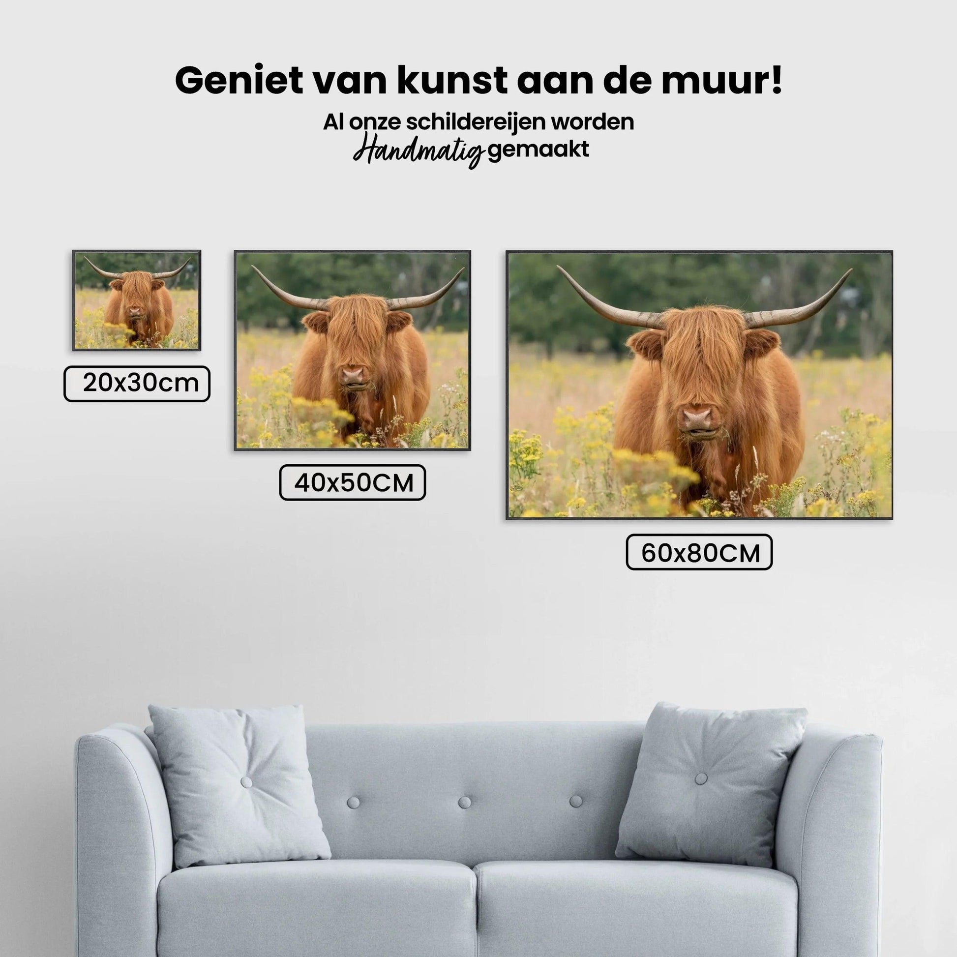 Diamond Painting Scottish Highlander - Wunderschöner Scottish Highlander grast auf der Weide - SEOS Shop ®