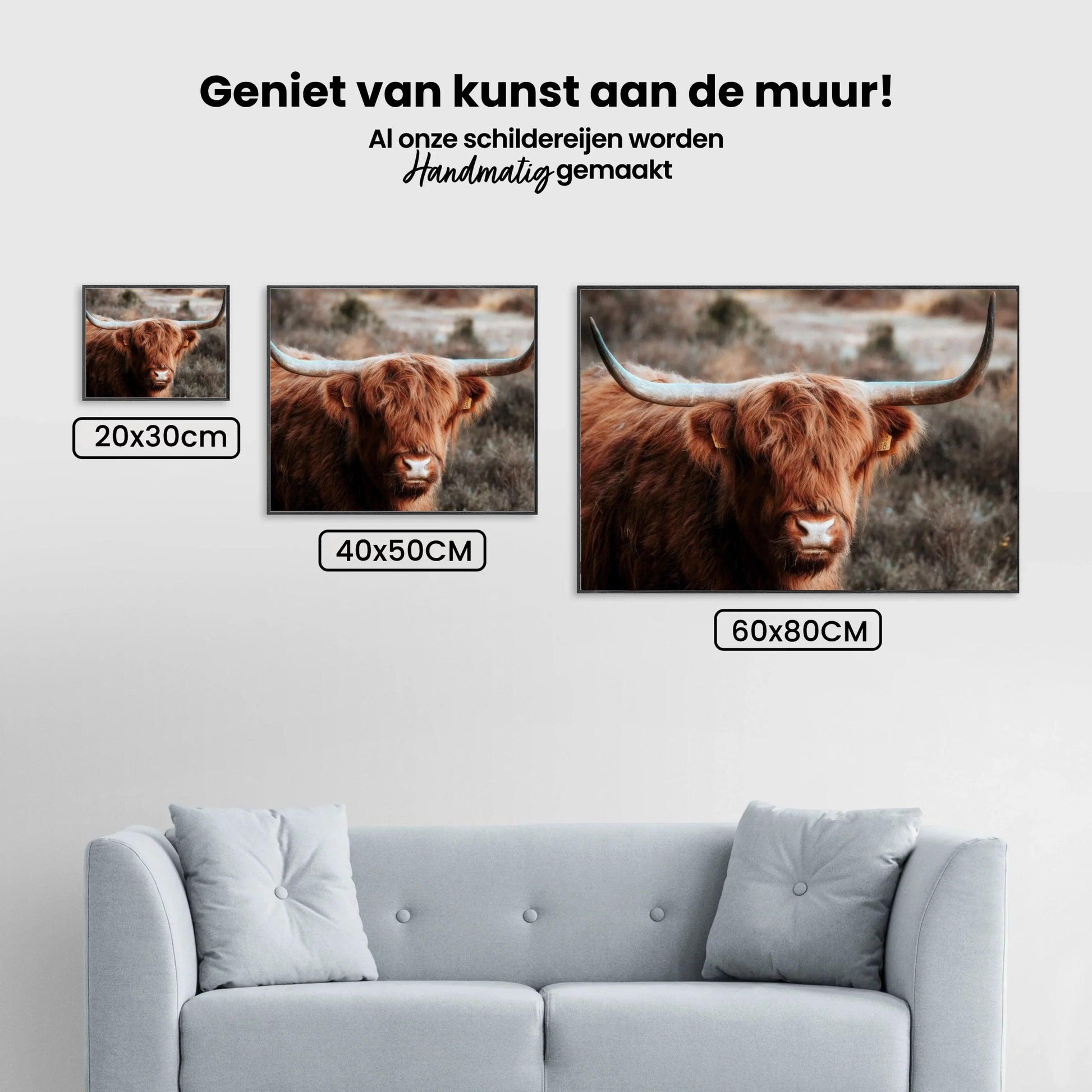 Diamond Painting Scottish Highlander - Neugieriger Scottish Highlander in den Bergen - SEOS Shop ®