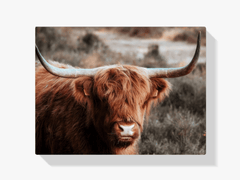 Diamond Painting Scottish Highlander - Neugieriger Scottish Highlander in den Bergen - SEOS Shop ®