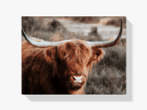 Diamond Painting Scottish Highlander - Neugieriger Scottish Highlander in den Bergen - SEOS Shop ®