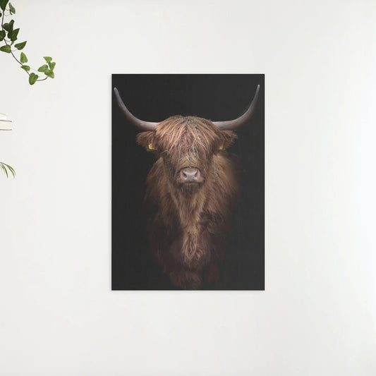 Diamond Painting Scottish Highlander - Rotbrauner Scottish Highlander aus der Nähe - SEOS Shop ®