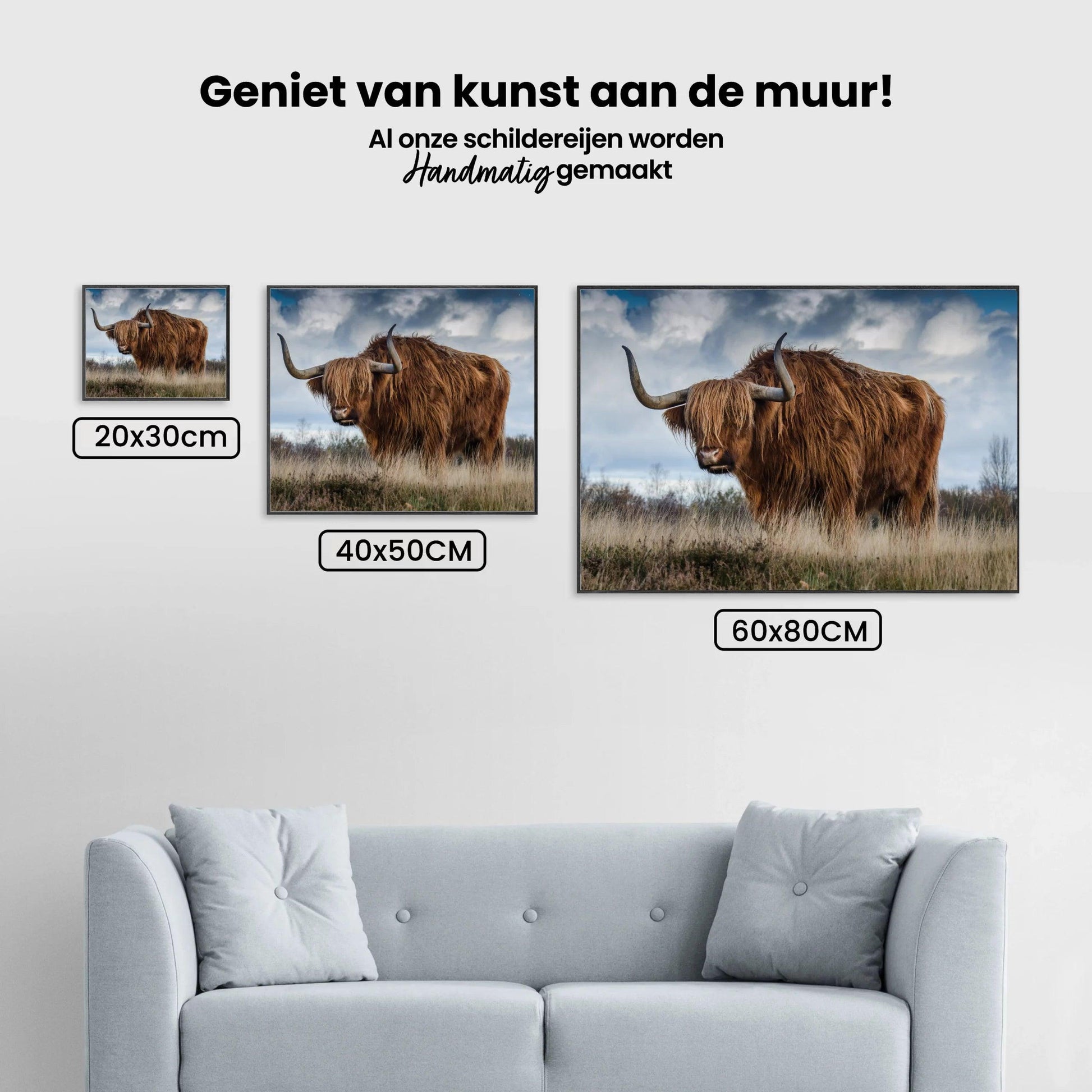 Diamond Painting Schottischer Hochlandrinder - SEOS Shop ®
