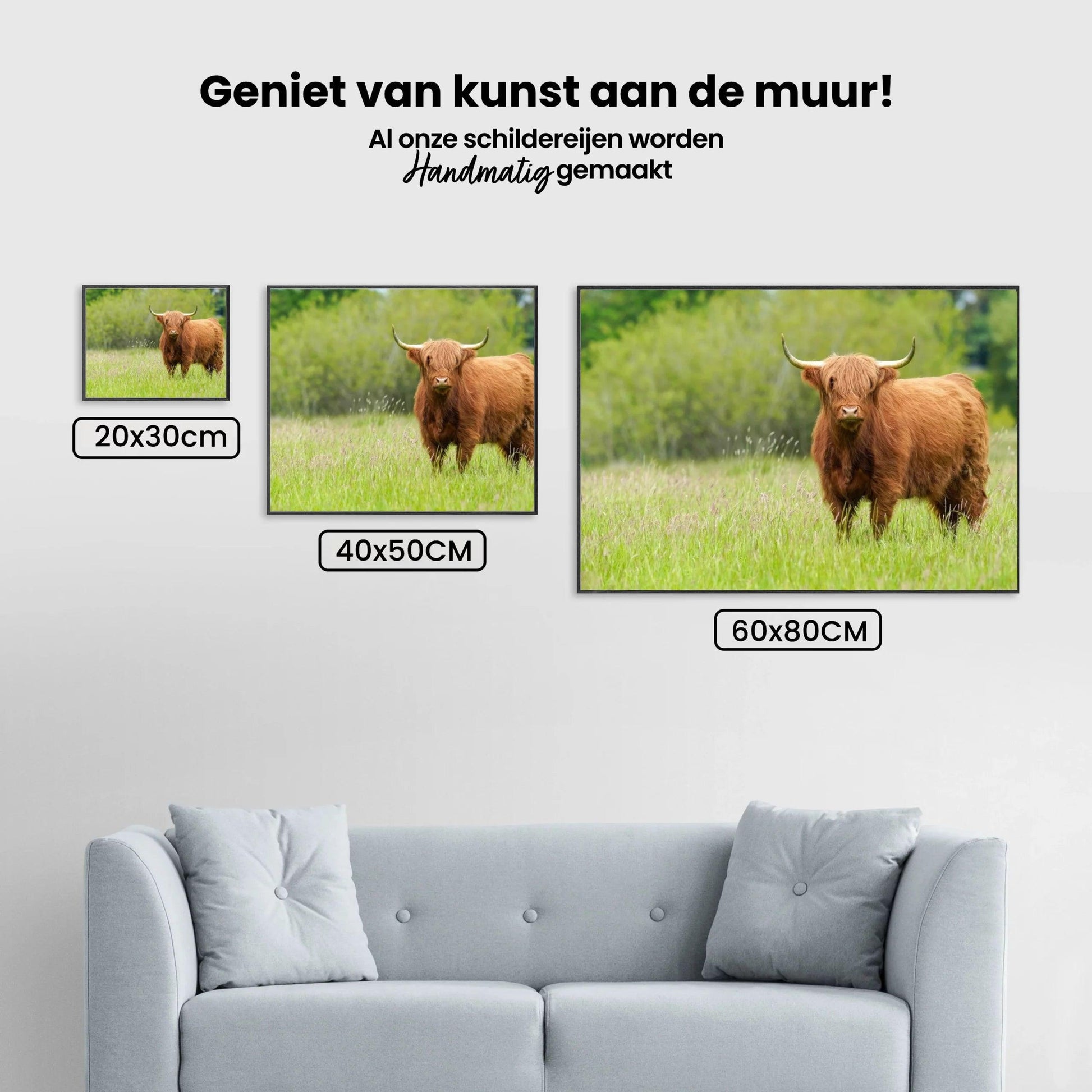 Diamond Painting Scottish Highlander - Niedlicher Scottish Highlander an einem sonnigen Tag - SEOS Shop ®