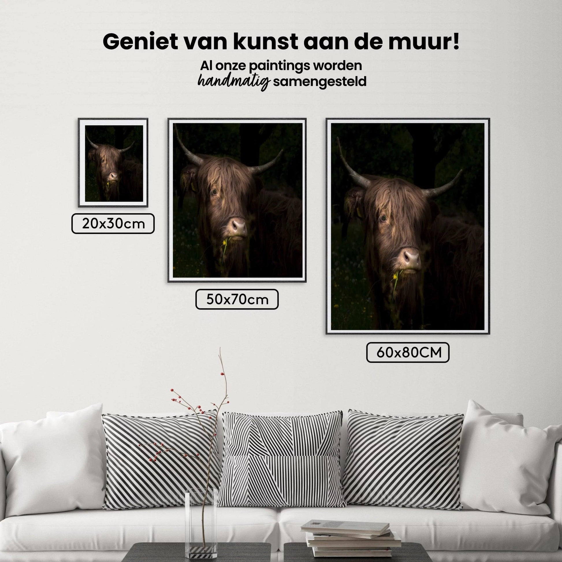 Diamond Painting Scottish Highlander - Schottisches Hochlandrind mit Löwenzahn und Gras im Maul - SEOS Shop ®