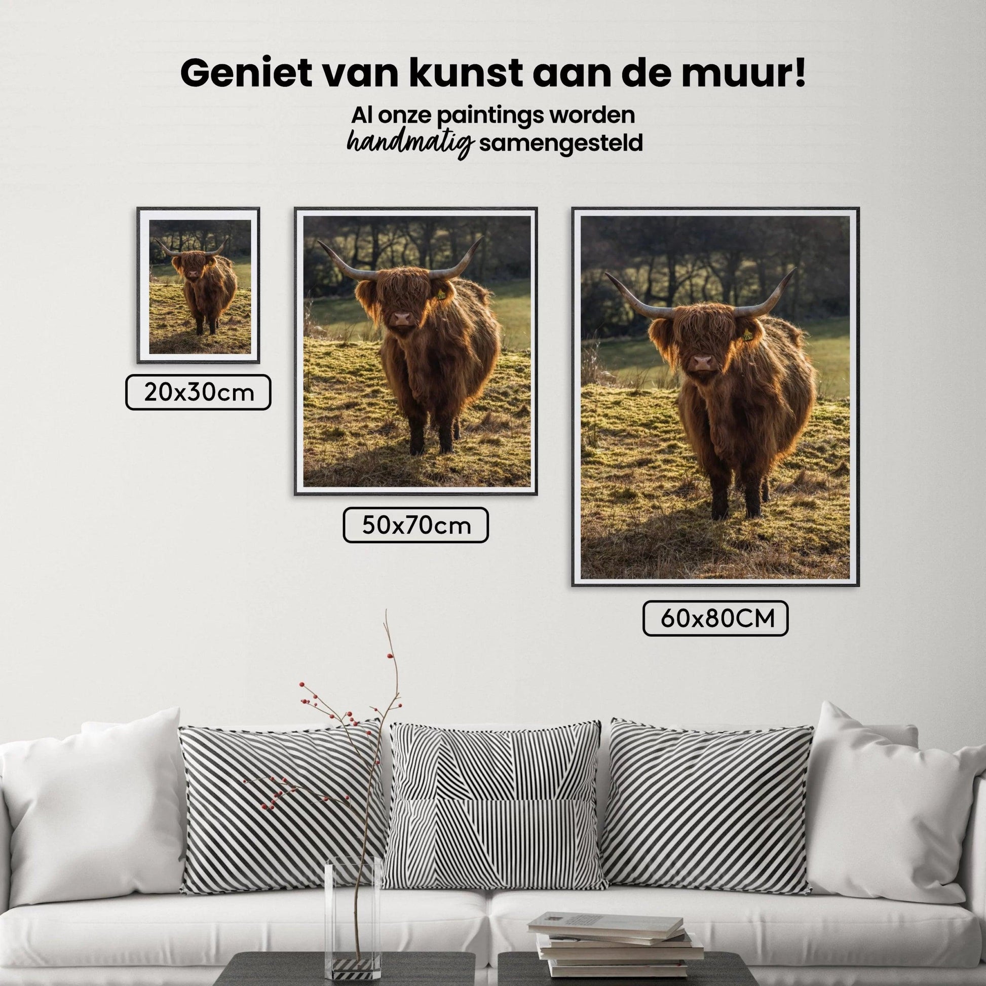 Diamond Painting Scottish Highlander - Schottischer Hochlandrinder grast auf den Feldern - SEOS Shop ®