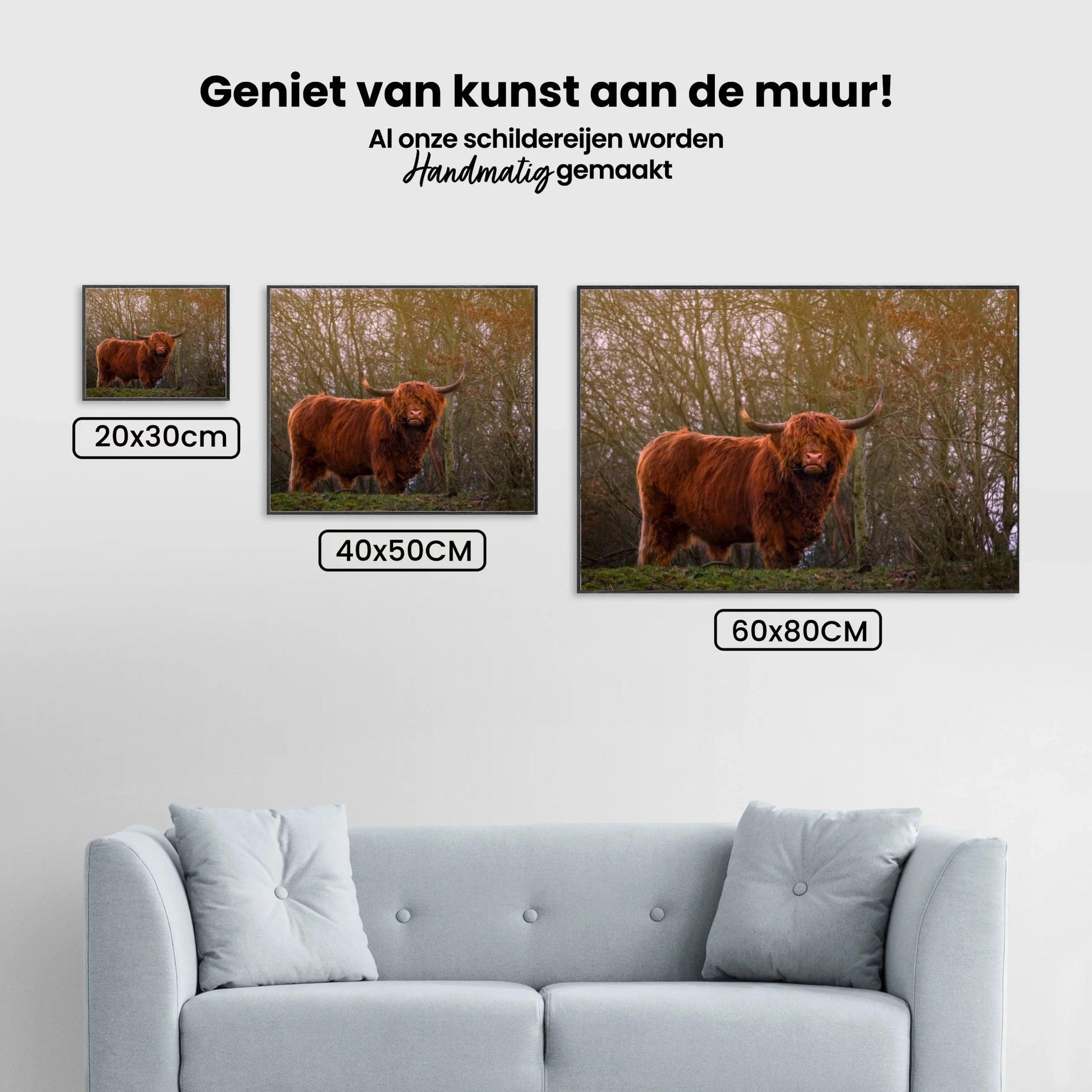 Diamond Painting Scottish Highlander - Scottish Highlander in der Abendsonne - SEOS Shop ®