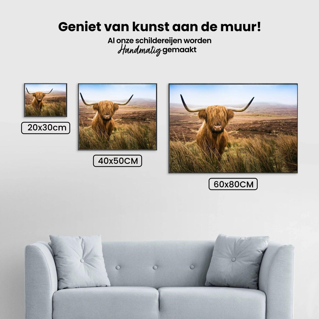 Diamond Painting Scottish Highlander - Scottish Highlander auf dem Feld schaut in die Kamera - SEOS Shop ®
