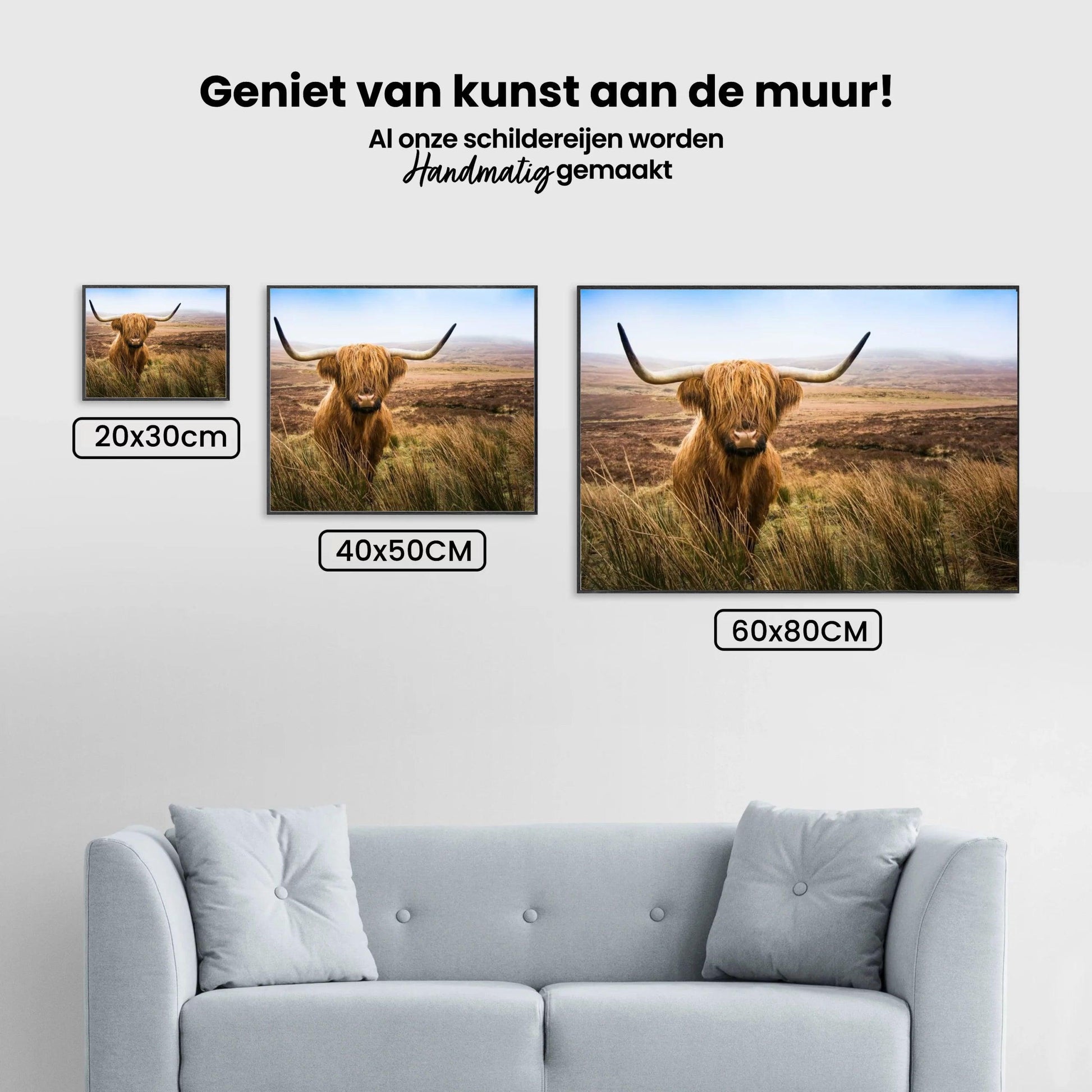 Diamond Painting Scottish Highlander - Scottish Highlander auf dem Feld schaut in die Kamera - SEOS Shop ®