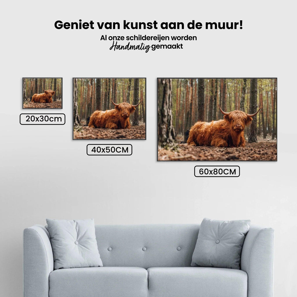 Diamond Painting Scottish Highlander - Scottish Highlander liegt im Wald - SEOS Shop ®