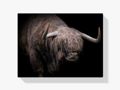 Diamond Painting Scottish Highlander - Scottish Highlander mit dickem Fell - SEOS Shop ®