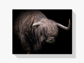 Diamond Painting Scottish Highlander - Scottish Highlander mit dickem Fell - SEOS Shop ®
