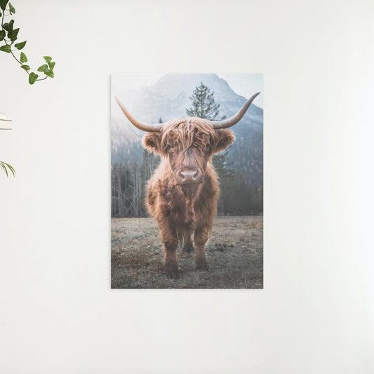 Diamond Painting Scottish Highlander - Scottish Highlander auf einer gefrorenen Wiese in den italienischen Bergen - SEOS Shop ®
