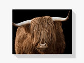 Diamond Painting Scottish Highlander - Scottish Highlander aus der Nähe - SEOS Shop ®