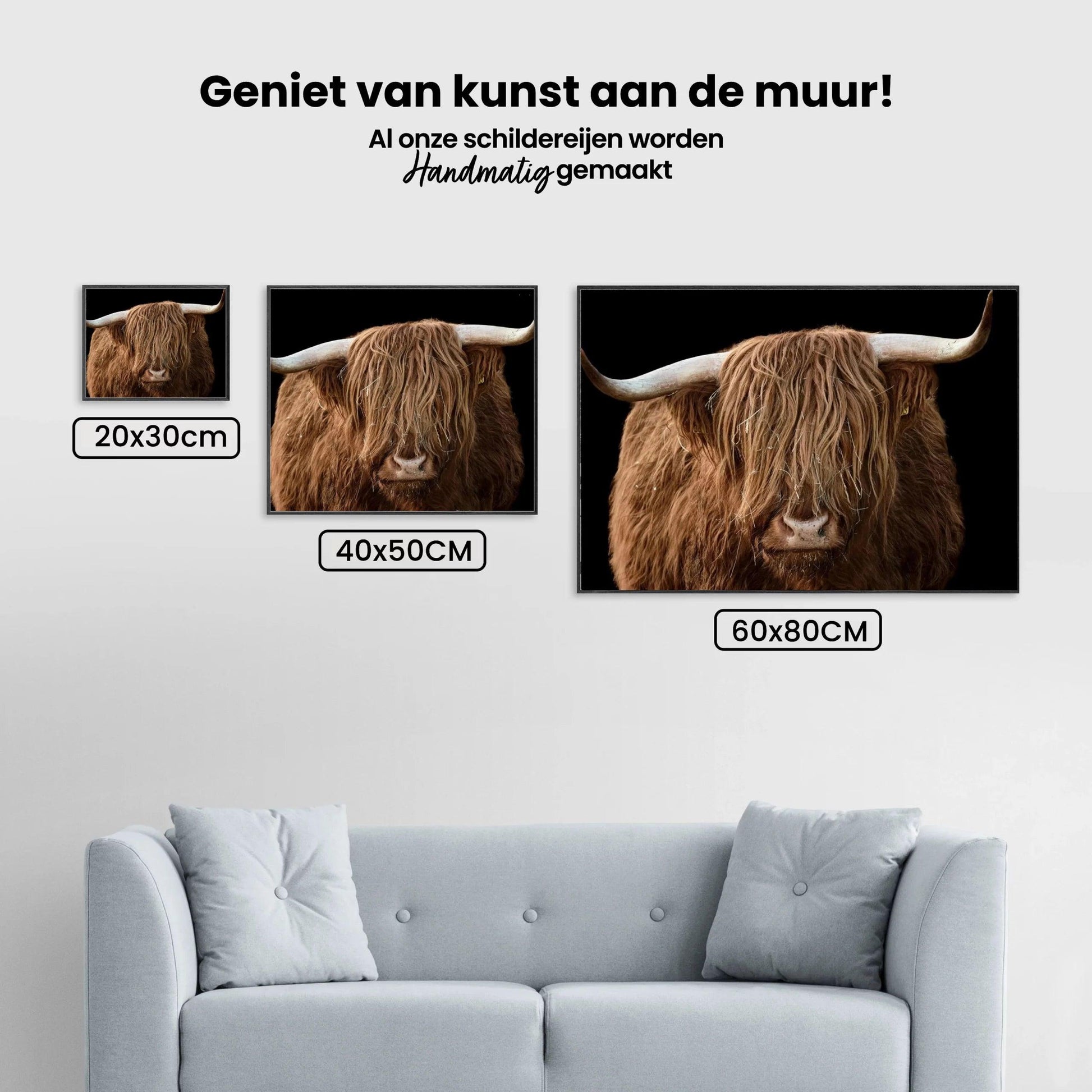 Diamond Painting Scottish Highlander - Scottish Highlander aus der Nähe - SEOS Shop ®