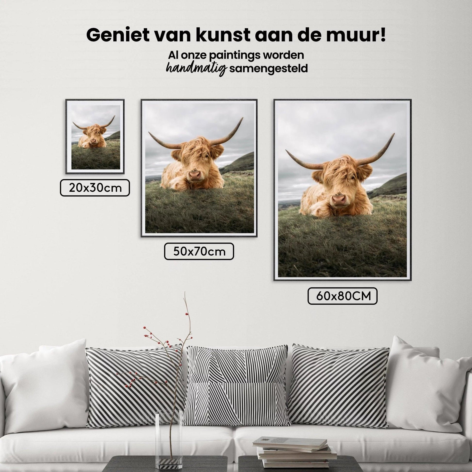 Diamond Painting Scottish Highlander - Robuster Scottish Highlander ruht auf der Ebene - SEOS Shop ®