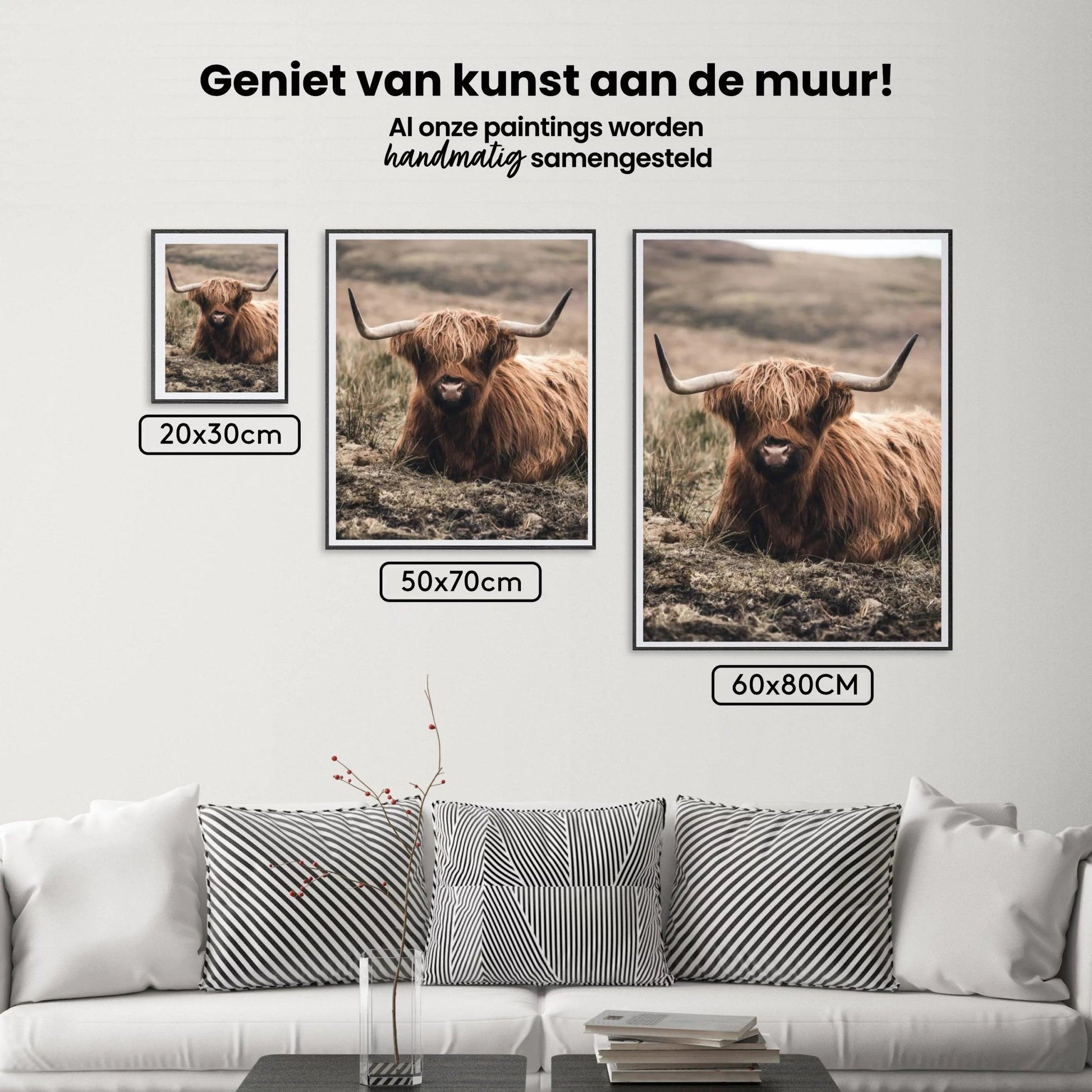 Diamond Painting Scottish Highlander - Freundlicher Scottish Highlander ruht auf dem Feld - SEOS Shop ®