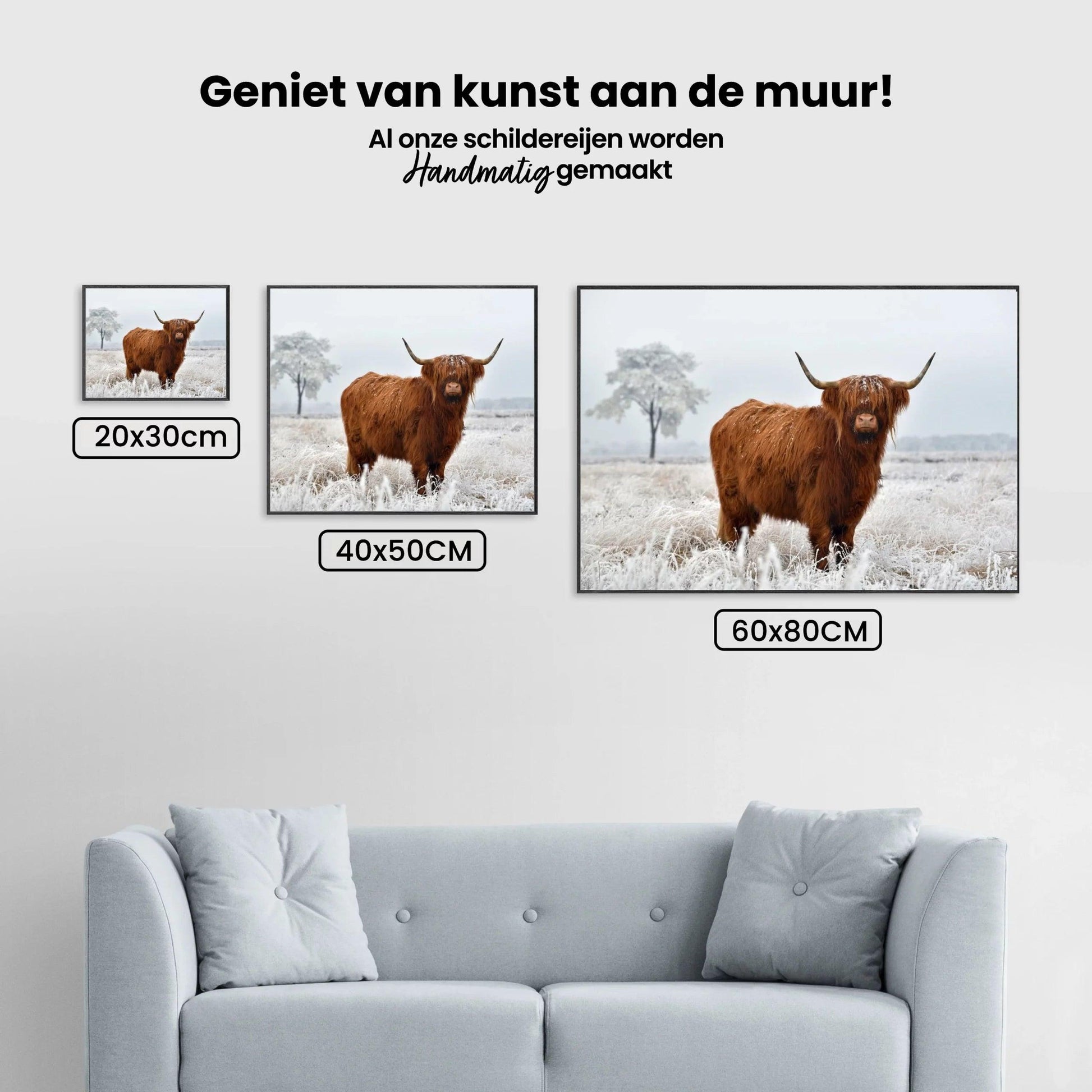 Diamond Painting Scottish Highlander - Wolliger Scottish Highlander auf der Winterwiese - SEOS Shop ®
