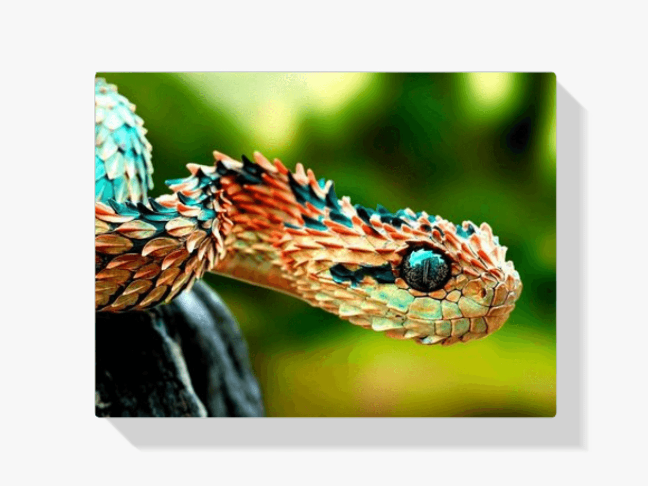 Diamond Painting Schlauch – SEOS Shop ®