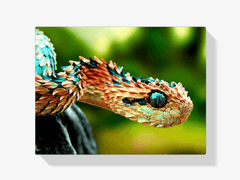 Diamond Painting Schlauch – SEOS Shop ®