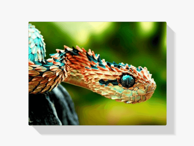 Diamond Painting Schlauch – SEOS Shop ®