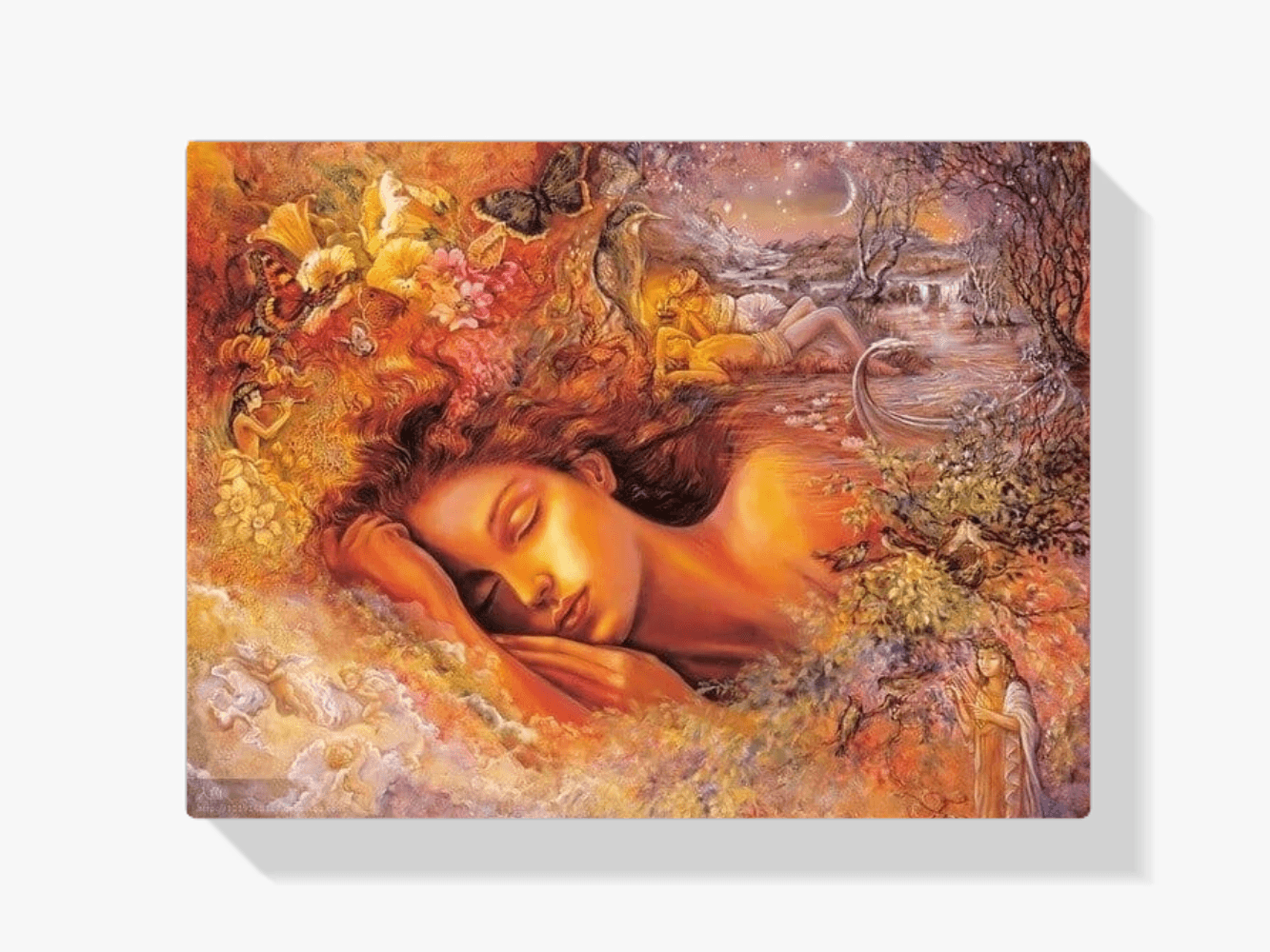 Diamantmalerei Schlafende Feen - SEOS Shop ®