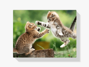 Diamond Painting Spielende Kätzchen - SEOS Shop ®