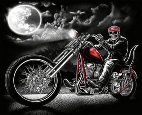 Diamantmalerei Ghost Rider - SEOS Shop ®