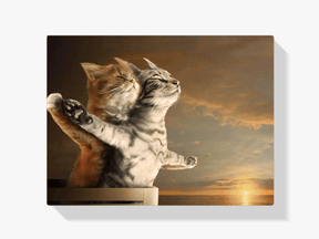 Diamantmalerei Titanic-Katzen - SEOS Shop ®