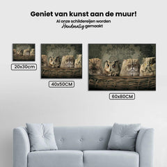 Diamond Painting Eule und Katzen im Korb - SEOS Shop ®