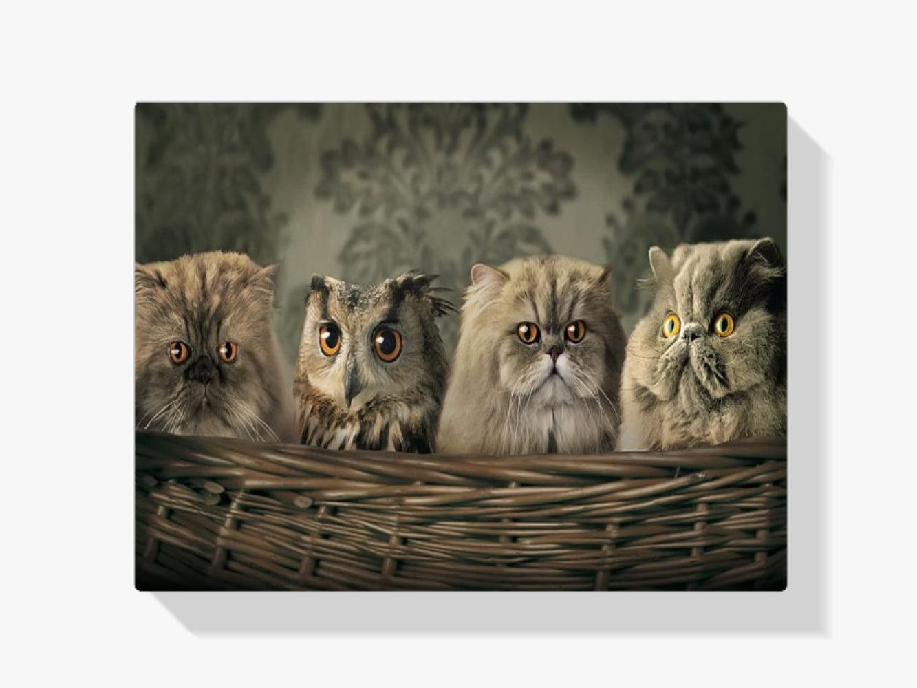 Diamond Painting Eule und Katzen im Korb - SEOS Shop ®