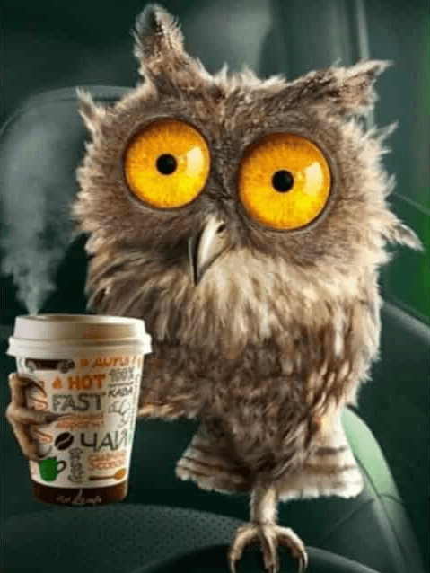 Diamond Painting Eule mit Kaffeeglas - SEOS Shop ®